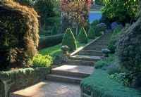 Brick steps ascending slope to house with Acer palmatum 'Dissectum' and conifer pyramids. Bench seat at top of steps as focal point flanked by Hydrangeas.
