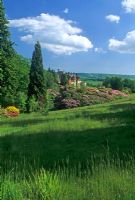 View of house, countryside and Rhododendrons growing en masse - Cowdray Park, Sussex