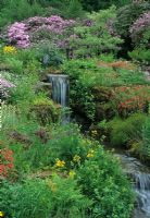 Waterfall and stream with Caltha, Helianthemum, Rhododendron and Ferns - Cowdray Park, Sussex