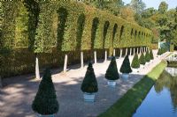 Canal running through the formal garden with orangery and topiary - Schwetzingen Schlossgarten, Germany 