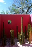 Contemporary garden room with red concrete wall with window and Cacti - El Paso, USA