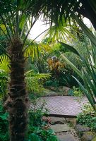 Large tropical garden with path to decked area planting of Trachycarpus fortuneii and Phormium leaves - The Hockett, Marlow 