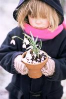 Girl holding pot of Galanthus - Snowdrops