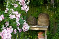 Beehives on table in summerhouse with roses