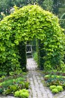 Archway in decorative vegetable garden