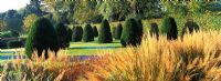 Clipped Taxus trees and grasses in autumn at Broughton Grange, Oxfordshire.