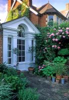 Urban garden with formal style conservatory, containers and Rosa climbing over boundary - Rawlinson Road Oxford