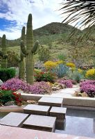 Contemporary garden in desert with stepping stone path - Lerner Garden, Rancho Mirage, Palm Springs, USA