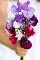 Young girl holding a posy of fragrant Sweet peas - Lathyrus odoratus in June
