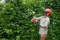 Hedge trimming with petrol trimmer
