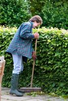 Woman sweeping up hedge trimmings from stone slabs on the patio. Carpinus betulus - Hornbeam hedge. 