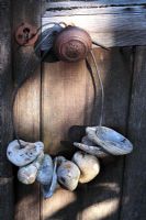 Shells and stones strung on wire and hung on old shed door knob in morning light