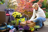Woman planting square Autumn container with plants - Putting gravel in bottom of pot