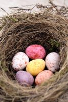 Still life of a natural bird's nest with chocolate Easter eggs inside