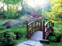Bridge in oriental garden