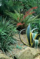 Phoenix palm, Aloe vera with red flower spike and Agave americana 'Variegata' in raised gravel bed in town garden - Radlett Avenue, Crystal Palace