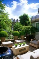 Contemporary decked roof garden with seats, Buxus spheres and Acer in containers - London