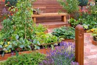 Raised beds containing vegetables and fruit in the Sadolin garden of Regeneration at the RHS Hampton Court FS