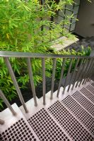 Contemporary metal steps and handrail with 
Bamboo - Wentworth Road, Vaucluse, NSW, Australia 