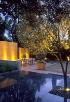 Modern garden with black stone paving, tree and dining area lit up in the evening - California, USA