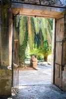 Doorway leading to Jardines de Alfabia, Mallorca with palm trees and stone lion statue, cobble stone floor