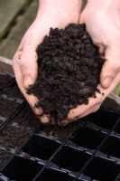 Gardener filling up rootrainer cells with compost, ready to sow seeds - Step 1 of 3