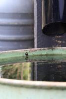 Close view of an old metal dustbin used to collect rainwater from a gutter