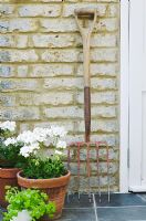 Fork leaning against house wall beside containers of white Pelargonium