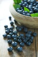 Vaccinium - Blueberries