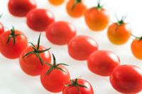 Tomatoes 'Santa', 'Piccolo' and 'Sungold'