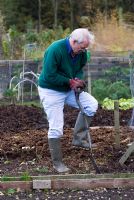 Digging over an allotment bed in the Autumn
