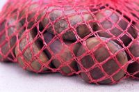 Castanea sativa - Sweet Chestnuts in netting sack