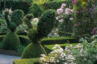Topiary birds in formal rose garden