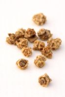 Beta vulgaris 'Bolthardy' - Beetroot seeds