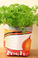 Petroselinum crispum - Parsley in a pot plant holder made from a recycled onion sack
