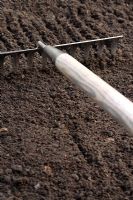 A garden rake being used to get a fine tilth on the soil ready for sowing seeds and planting
