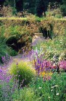Dry garden with Nepeta, Stipa gigantea, Allium, Potentilla and stachys - Cambridge University Botanic Gardens