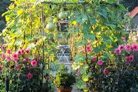 Potager garden with Lagenaria siceraria growing over an arch