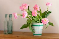 Tulipa - Pink double Tulips in a green and white 1930's jug