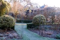 Formal winter garden showing structure of an archway and shaped Ilex 'Madame Briot'