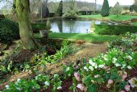 Formal pond with Helleborus border at Coton Manor, Northants