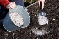 Spreading wood ash on the garden - good Potash source