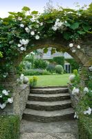 Archway and steps through a stone wall with Rosa 'Adelaid D'Orleans' 