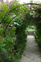 Archway with climbing roses including Rosa 'Veilchenblau' and mosaic path
