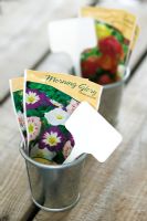 Seed packets in small zinc pots with plant 'T' labels