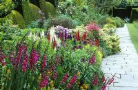 The long border at Great Dixter in early summer with Gladiolus communis subsp. byzantinus, Lupins and Aquilegia