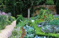 The Potager garden at West Green House -  Cerinthe major 'Purpurascens' and Brussel sprout 'Rubine' with cabbages and lettuces lining the path