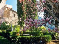 La Cartuja Monastery garden - Mallorca