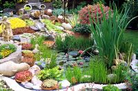 Ornamental garden pond 