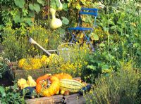 Potager with Cucurbita, watering can and blue chair